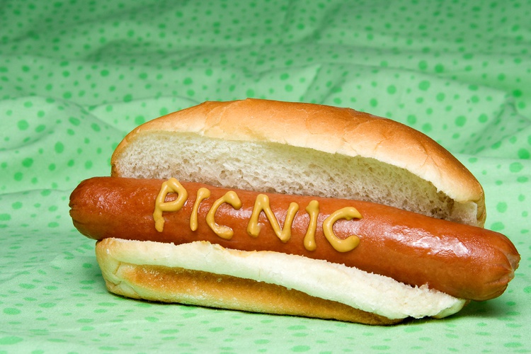 Hotdogs on a picnic