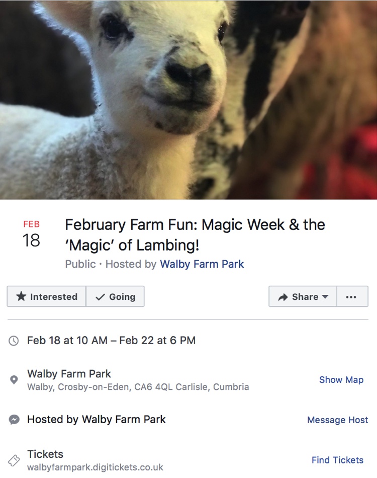 Walby Farm Park the Magic of Lambing February 2019
