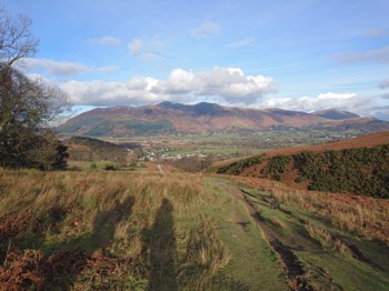 Path Leading Down Stile End with Skiddaw in the Distance