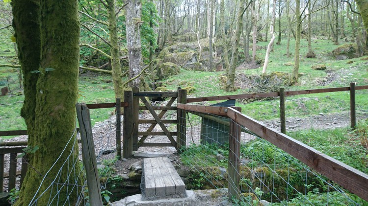 The Gate into the Woodland