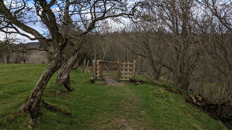 The Gate at the End of the Field