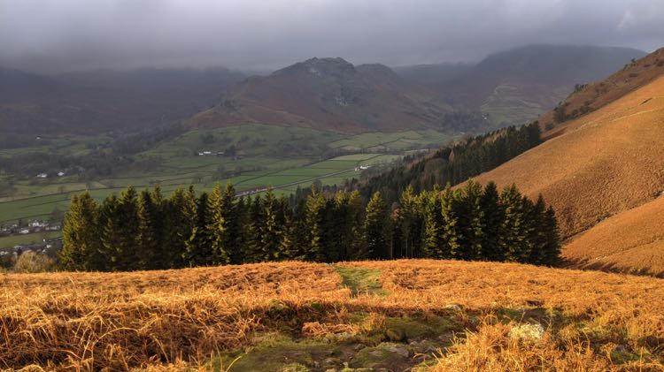 Forestside Plantation with Helm Crag in the background